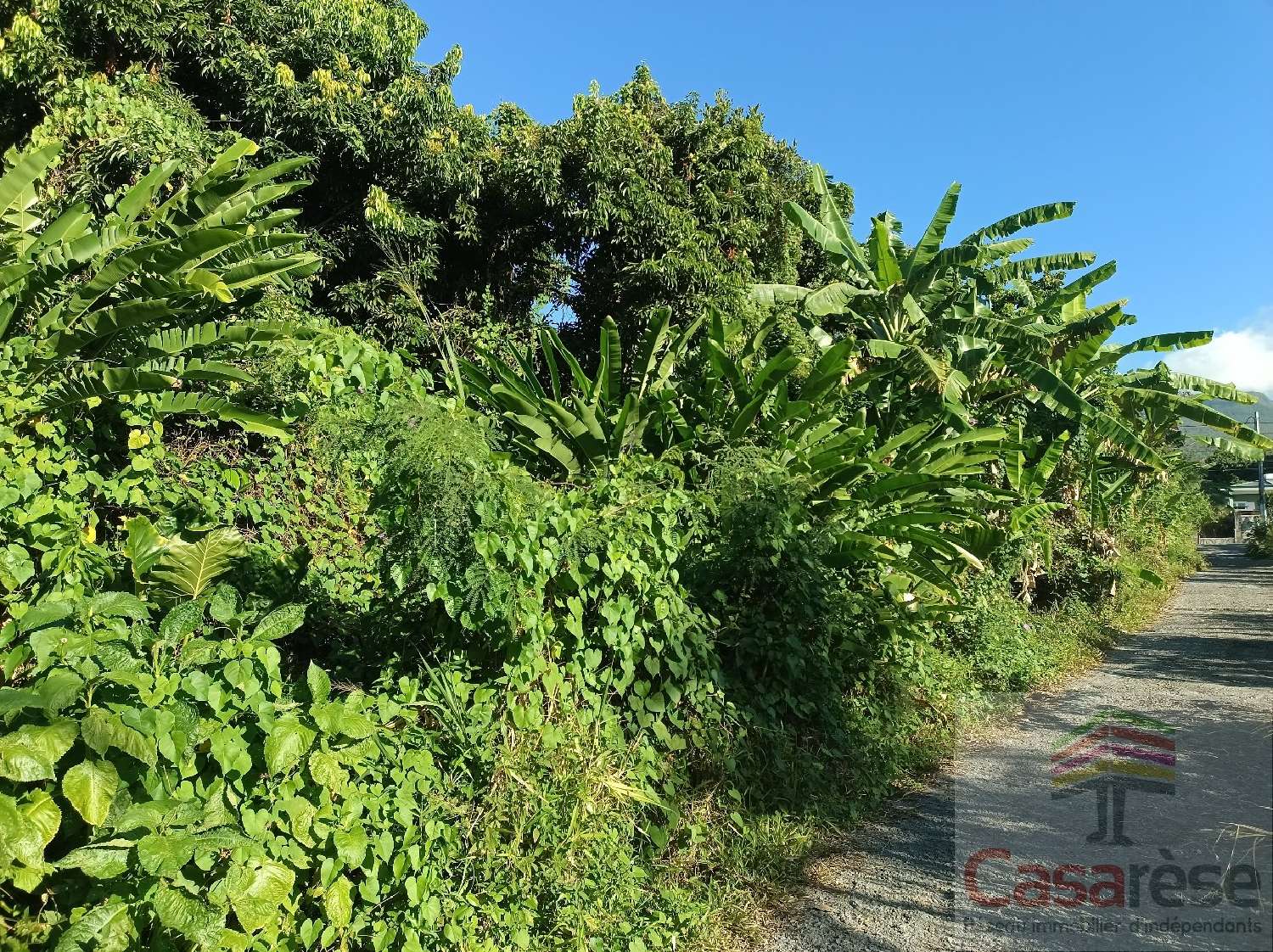 à vendre terrain Sainte-Rose La Réunion 2