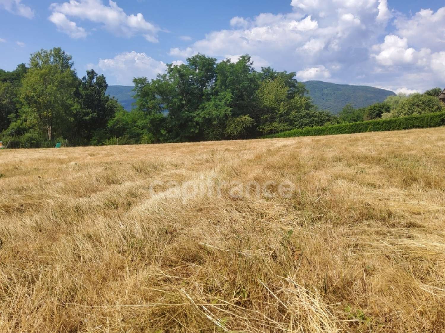  for sale terrain Sales Haute-Savoie 1