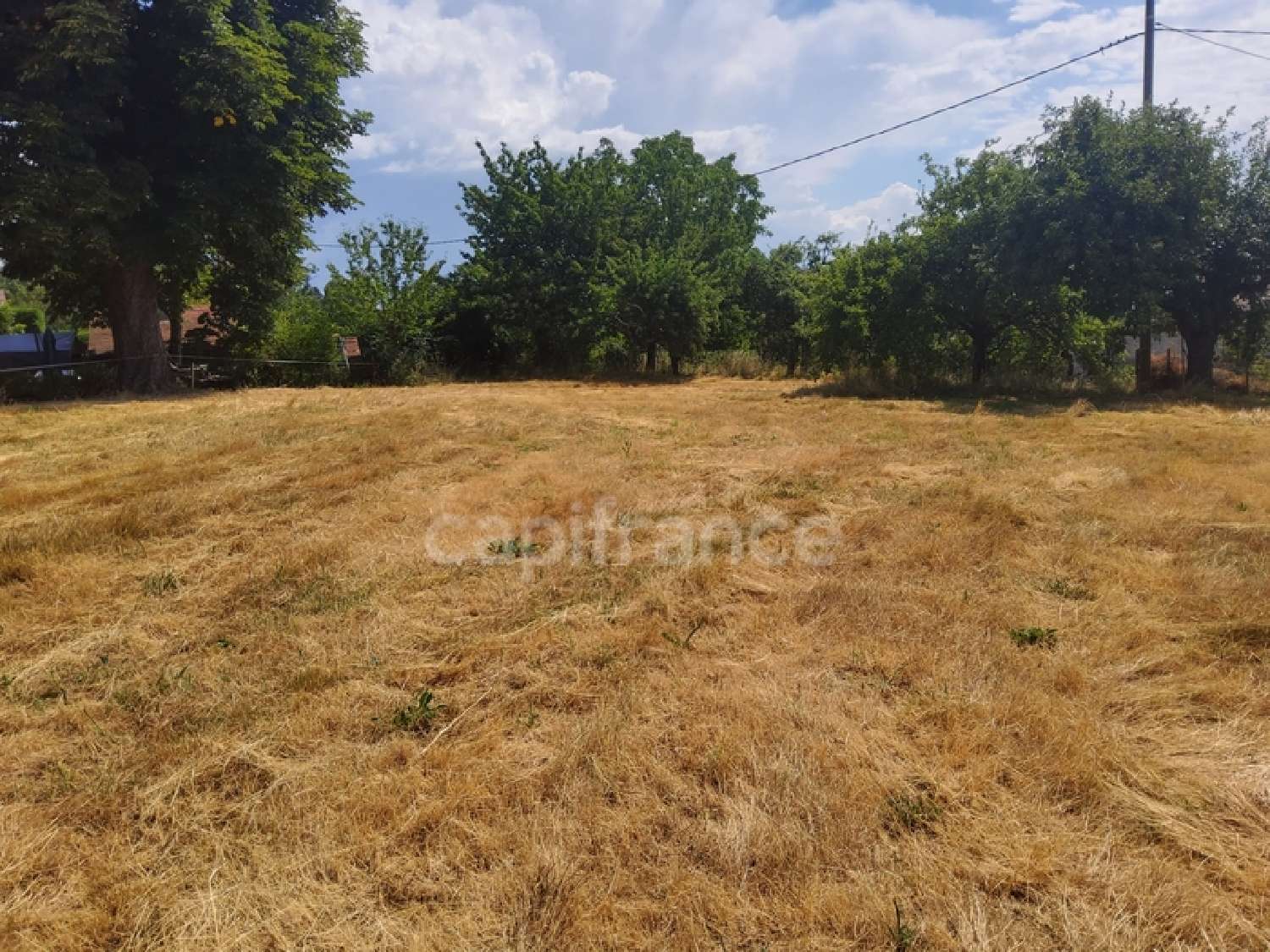  for sale terrain Sales Haute-Savoie 4
