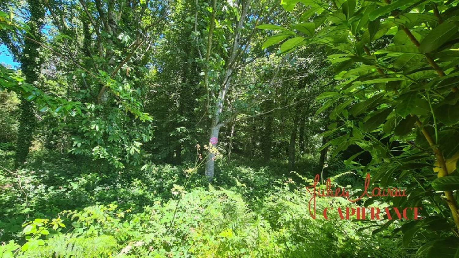 te koop terrein Scaër Finistère 3