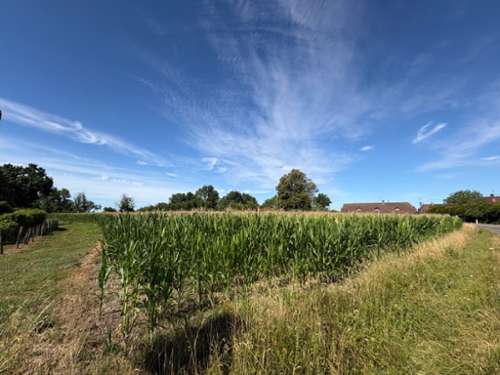 Simard Saône-et-Loire terrain foto 7380472