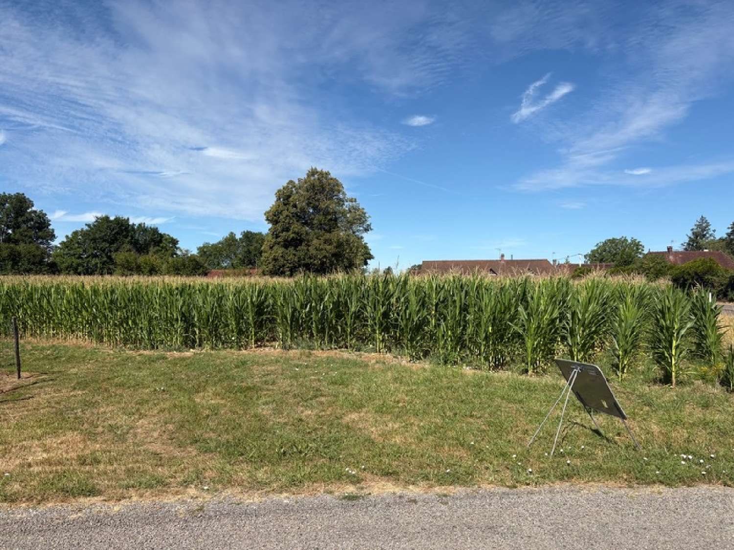  à vendre terrain Simard Saône-et-Loire 2