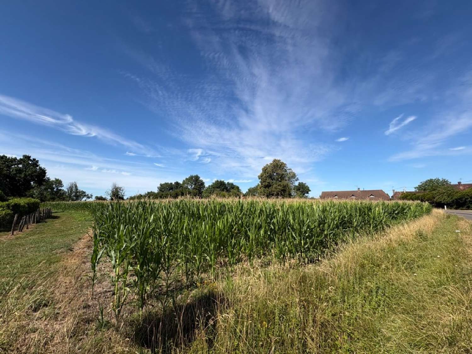  à vendre terrain Simard Saône-et-Loire 3