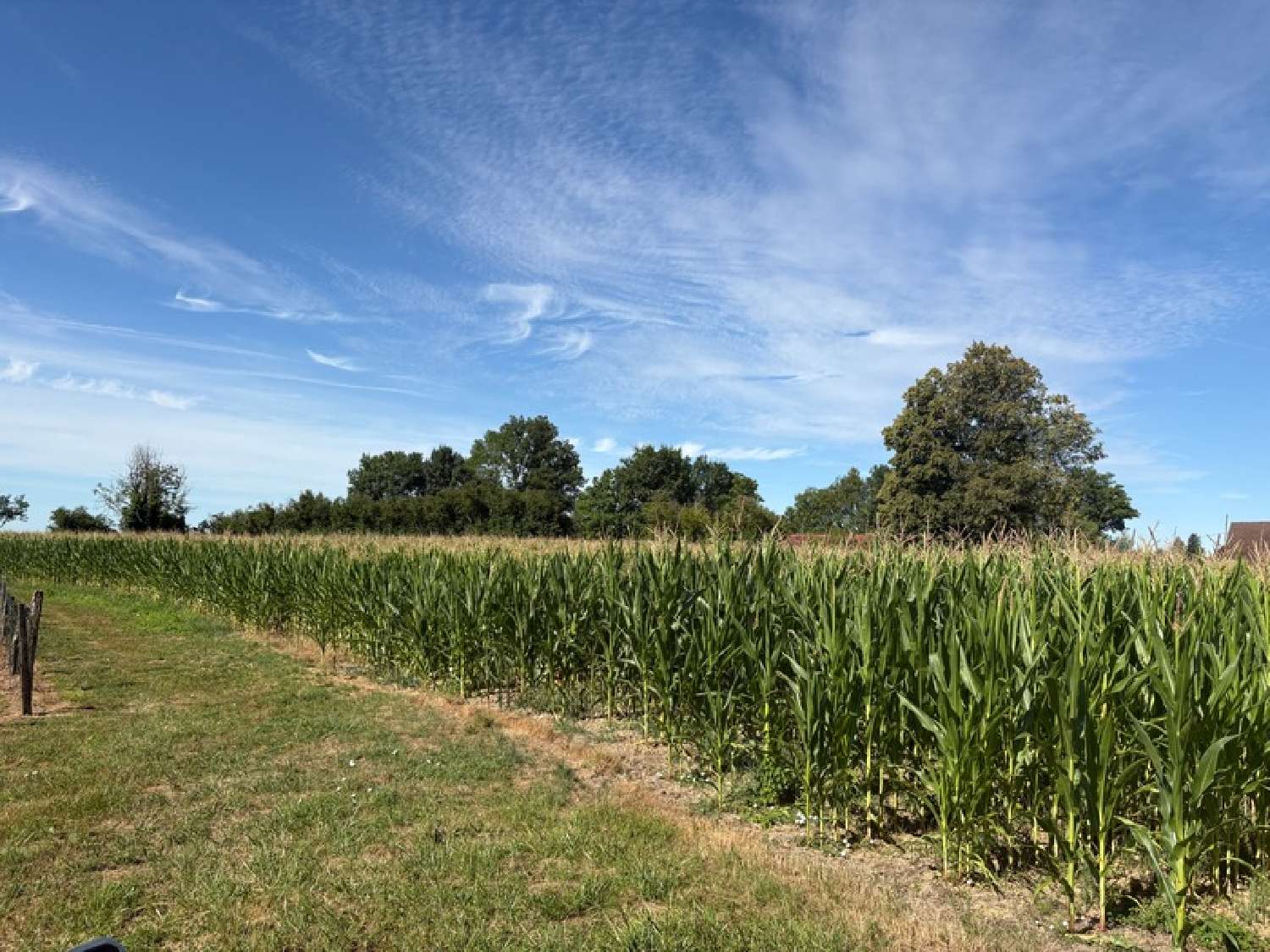  à vendre terrain Simard Saône-et-Loire 4