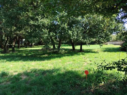Tesson Charente-Maritime terrain foto 7369842