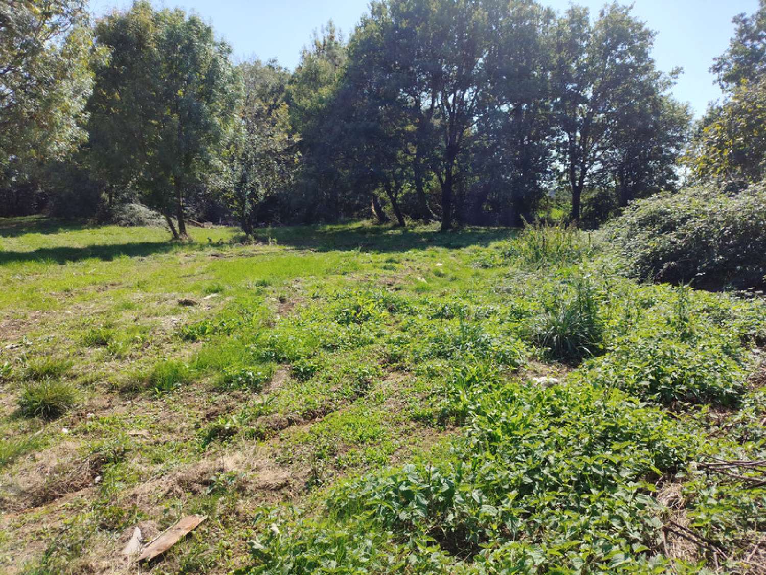  à vendre terrain Tesson Charente-Maritime 5