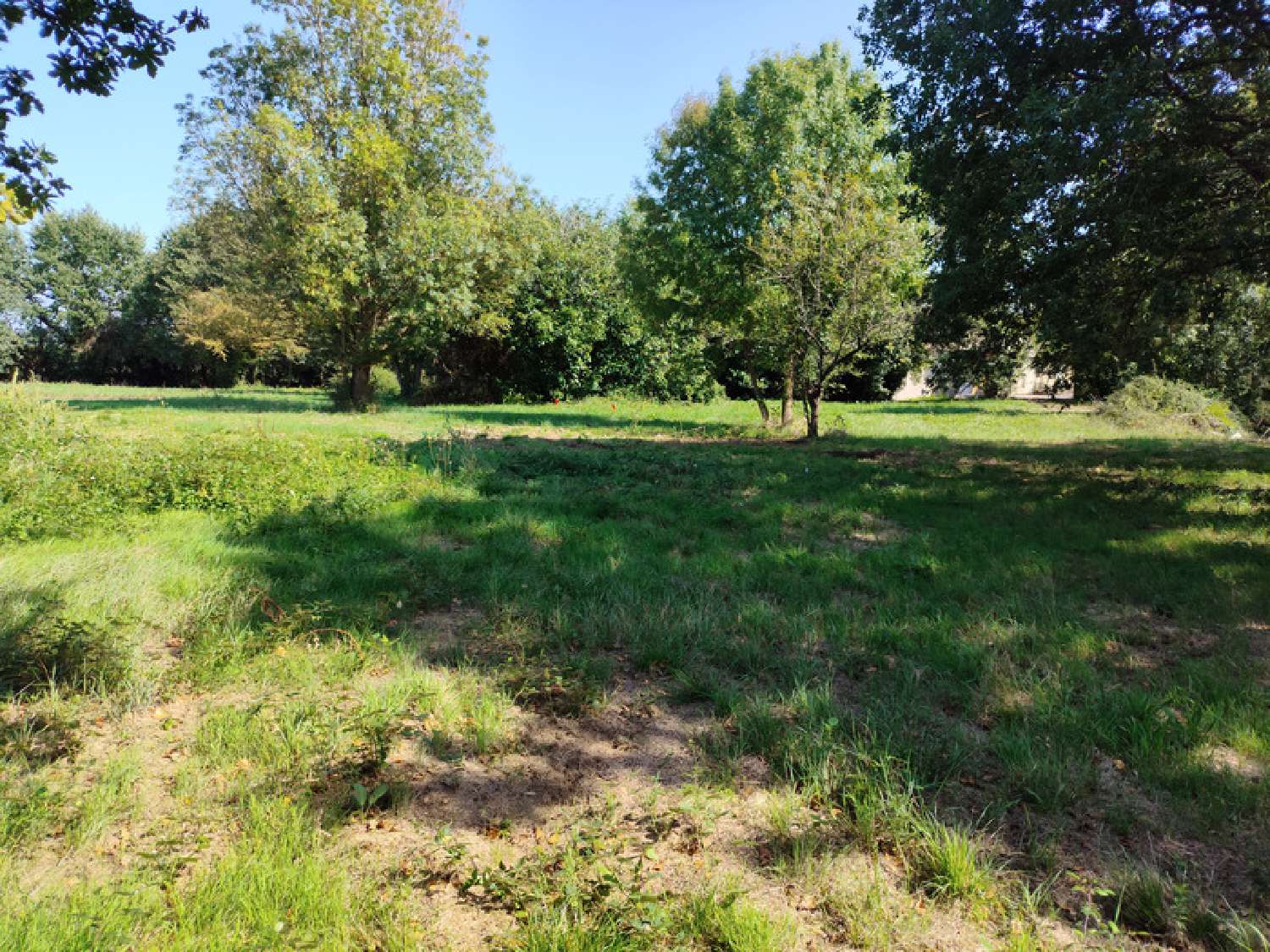  à vendre terrain Tesson Charente-Maritime 6