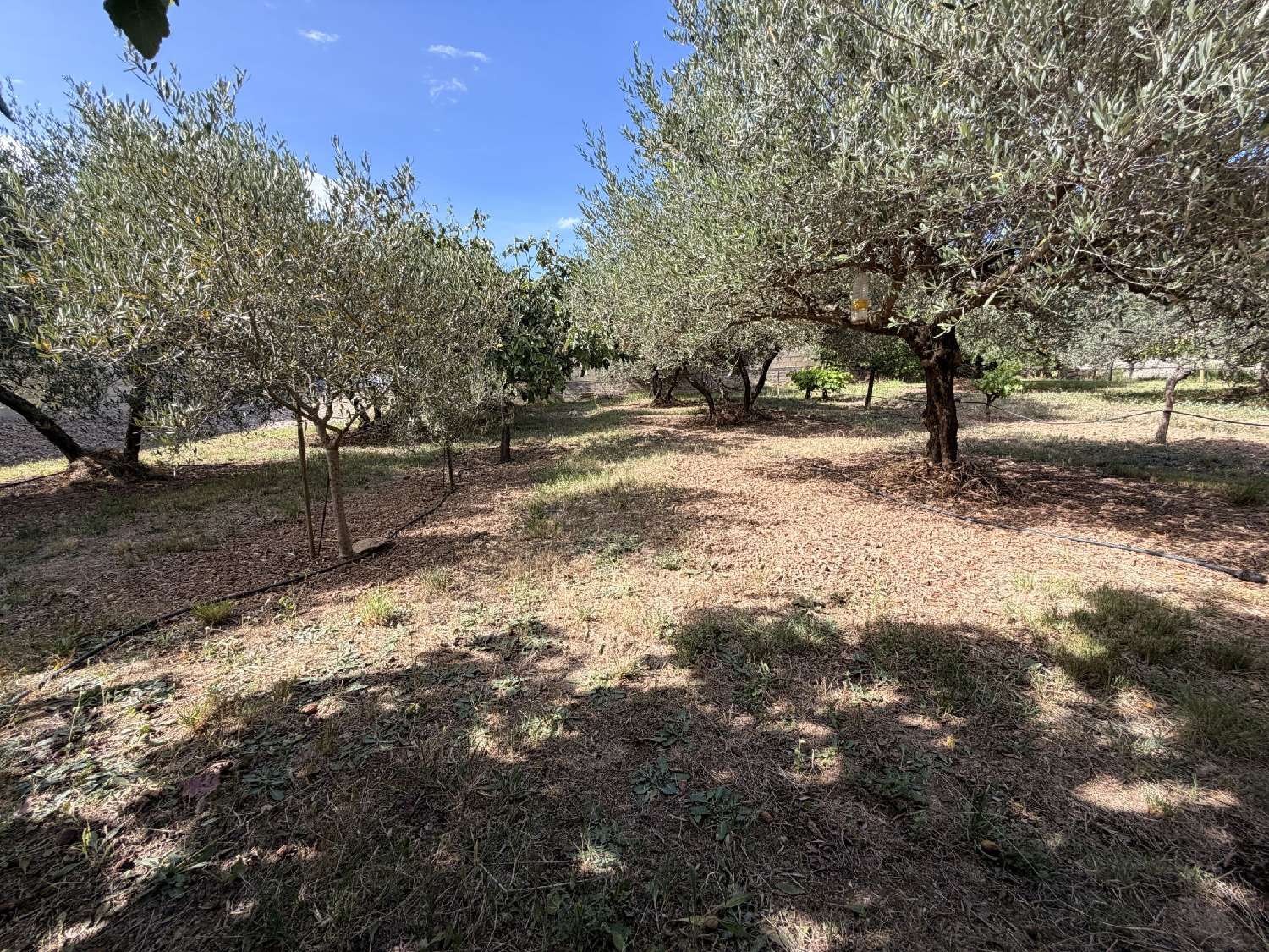  à vendre terrain Vergèze Gard 1