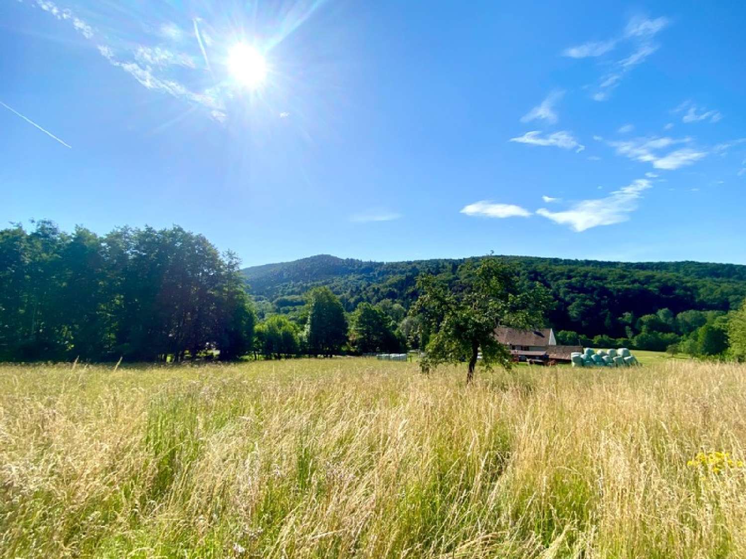  for sale terrain Vescemont Territoire de Belfort 1