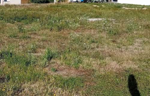 Villars-les-Dombes Ain Grundstück Bild 7382987