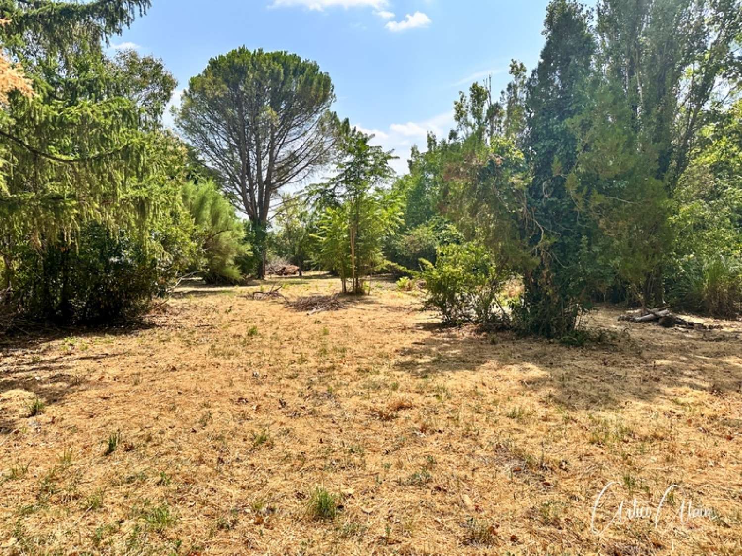  te koop terrein Villefranche-de-Lauragais Haute-Garonne 2