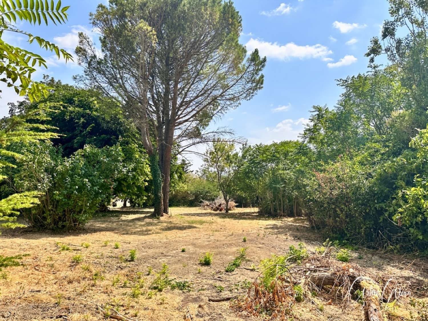  te koop terrein Villefranche-de-Lauragais Haute-Garonne 3
