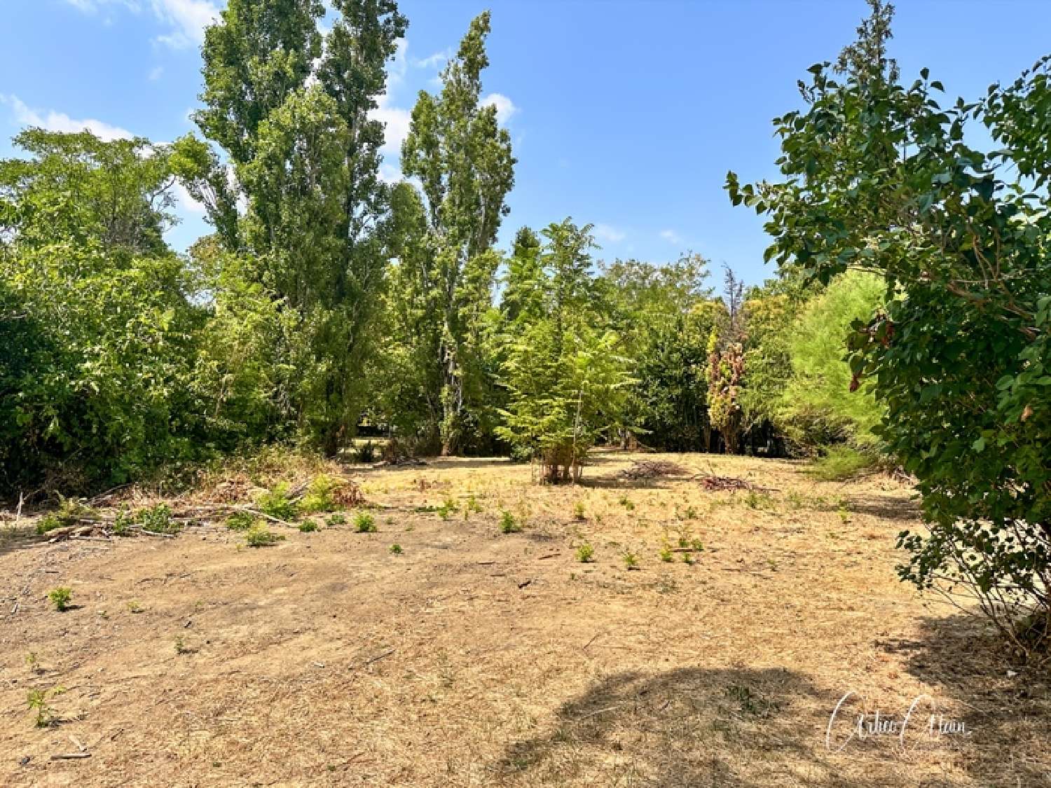  te koop terrein Villefranche-de-Lauragais Haute-Garonne 4