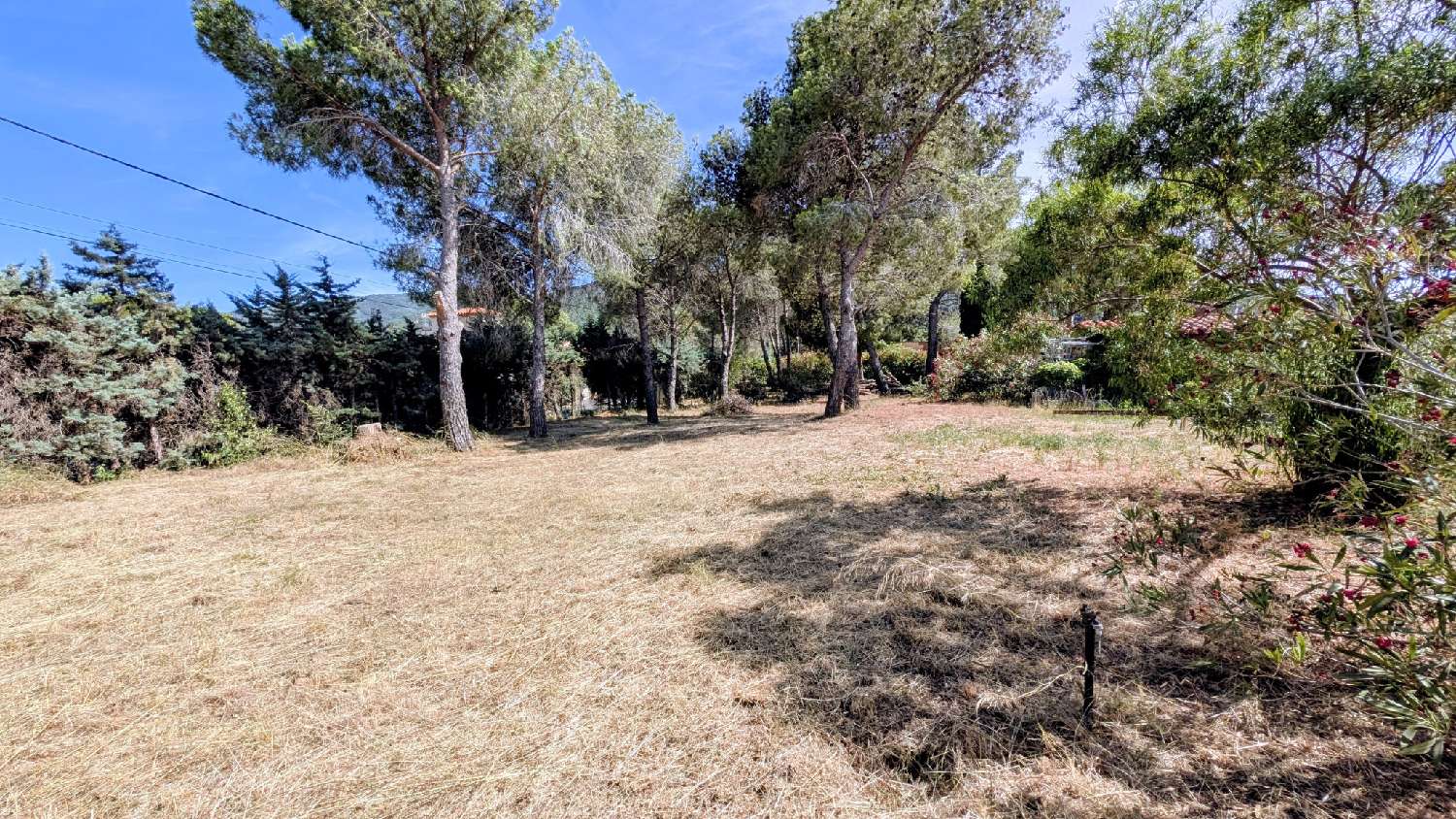 à vendre terrain Villelongue-dels-Monts Pyrénées-Orientales 5