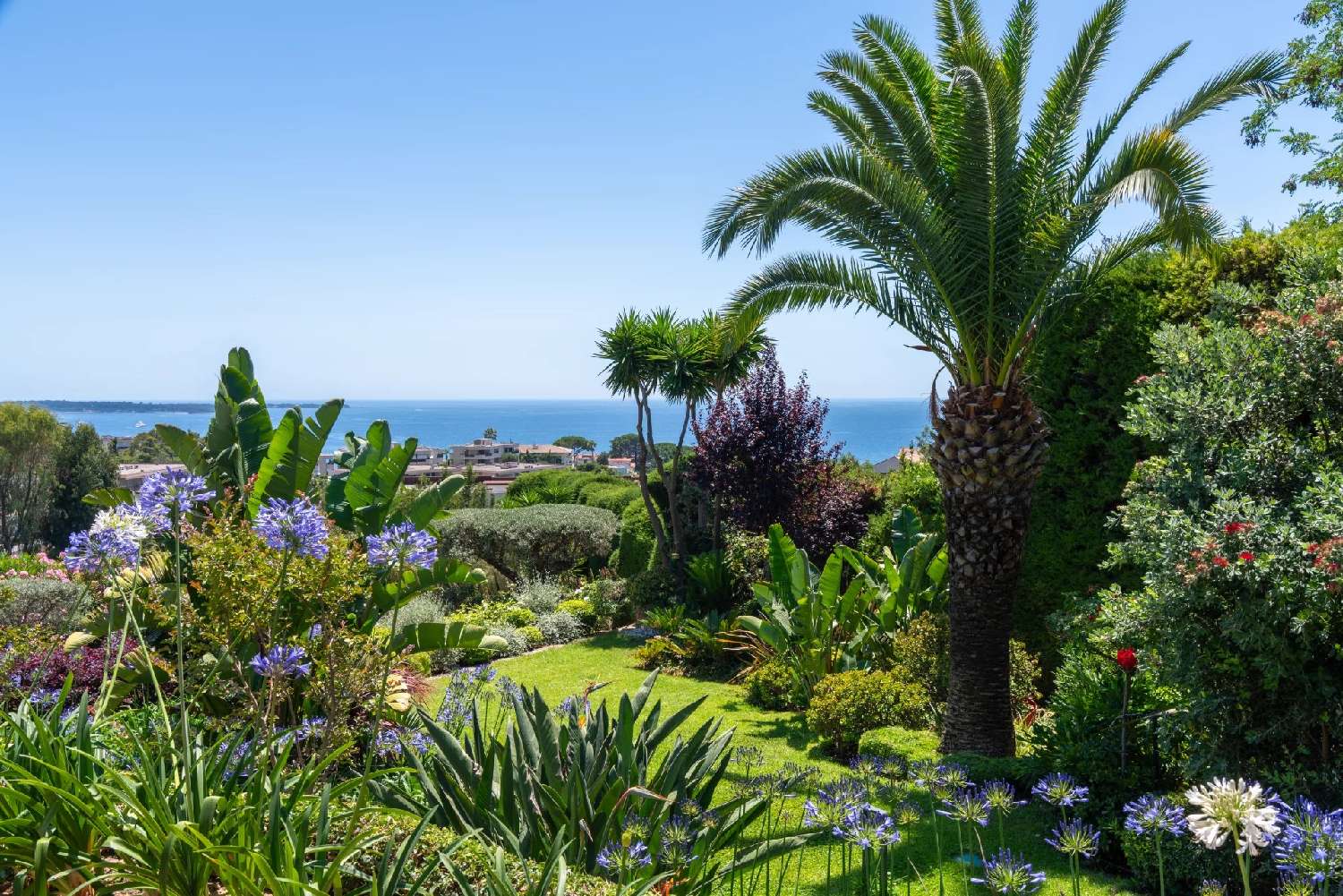  for sale villa Cannes Alpes-Maritimes 3