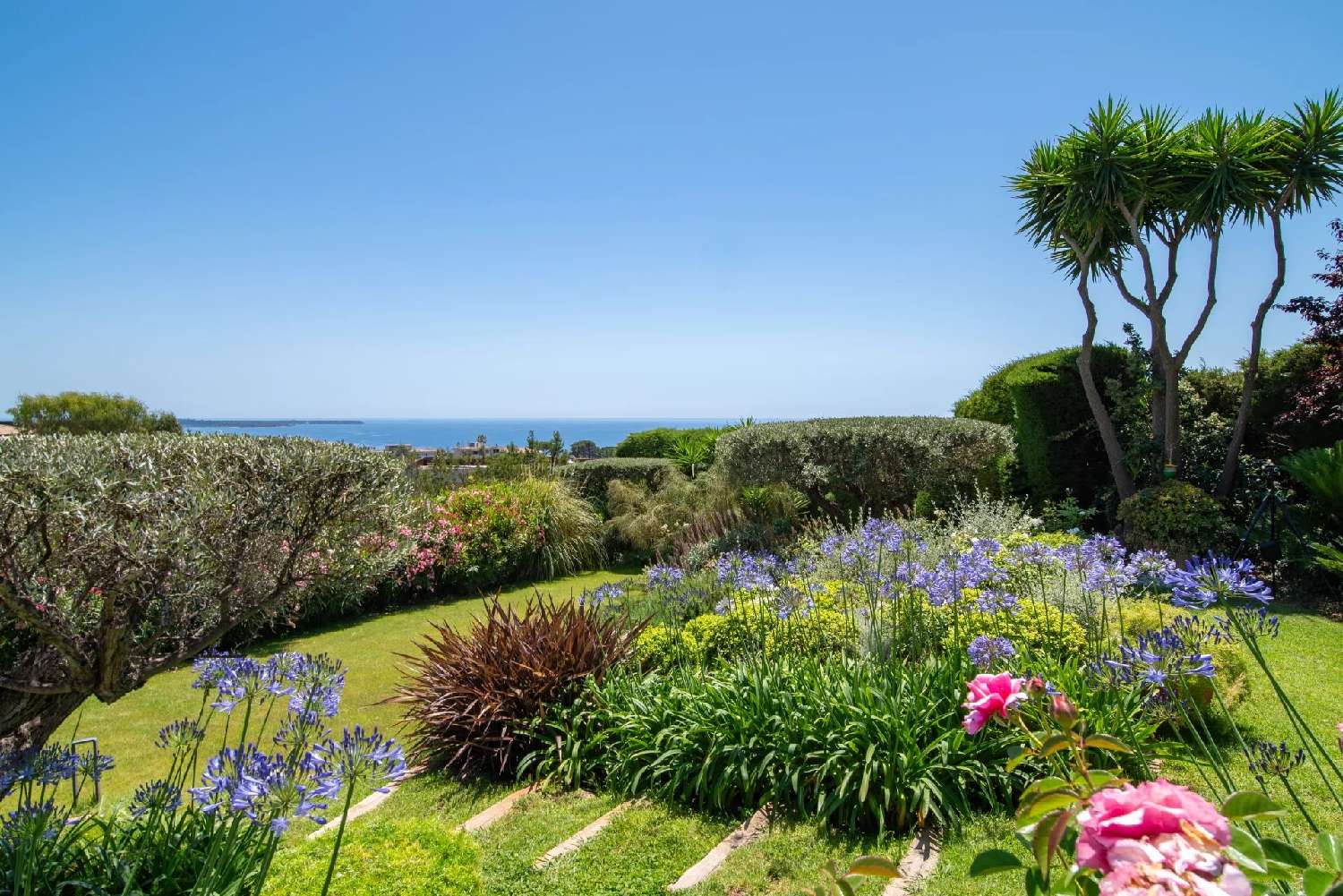  for sale villa Cannes Alpes-Maritimes 8