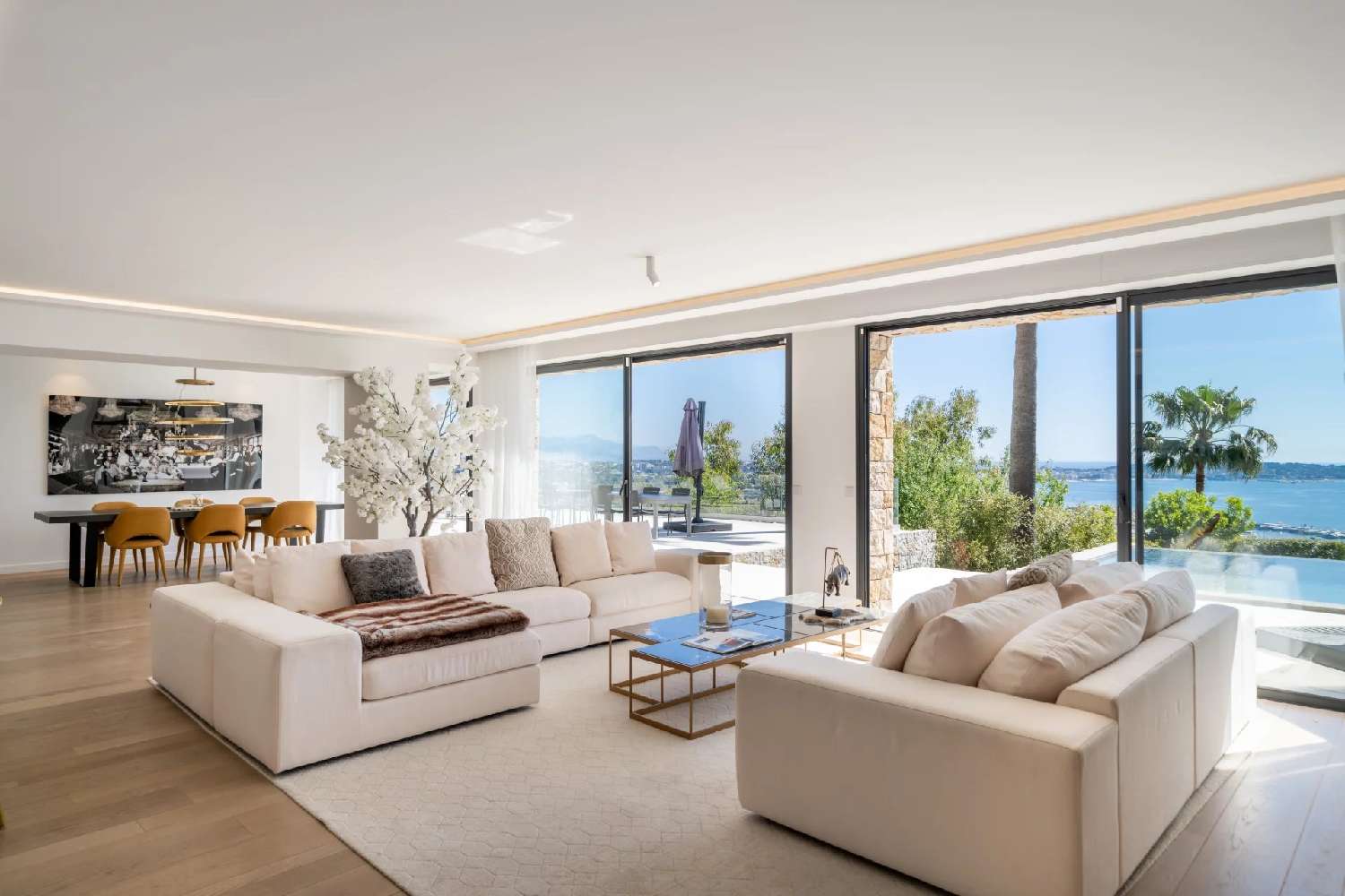  te koop villa Cannes Alpes-Maritimes 2