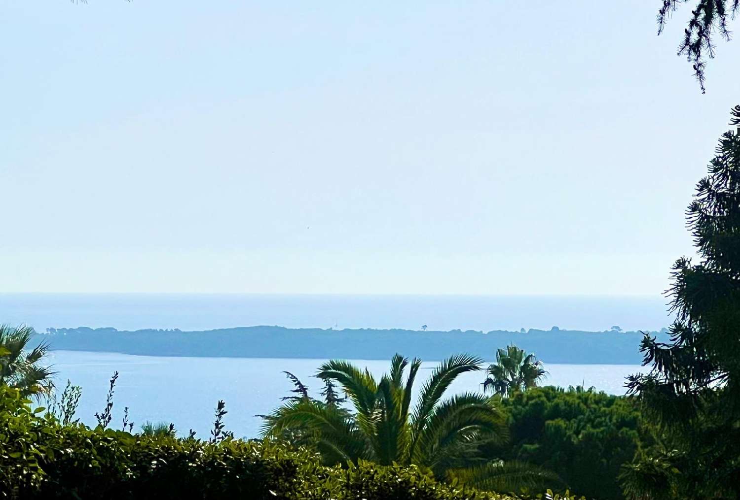 for sale villa Cannes Alpes-Maritimes 1