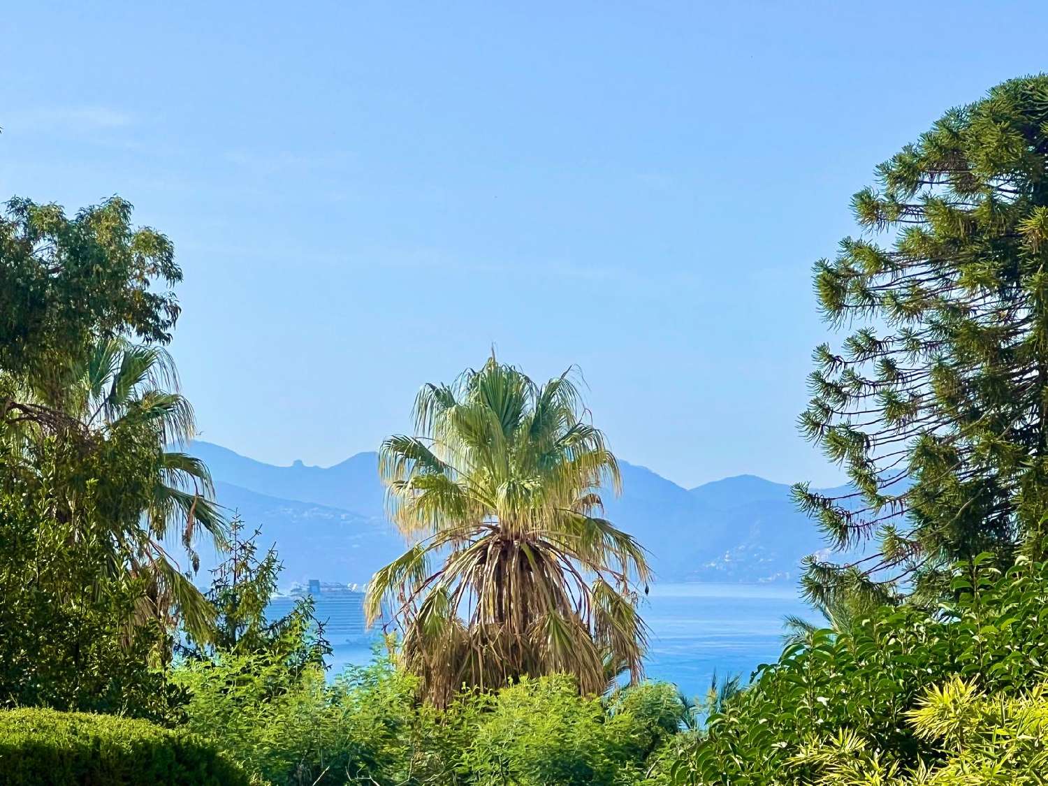 for sale villa Cannes Alpes-Maritimes 4
