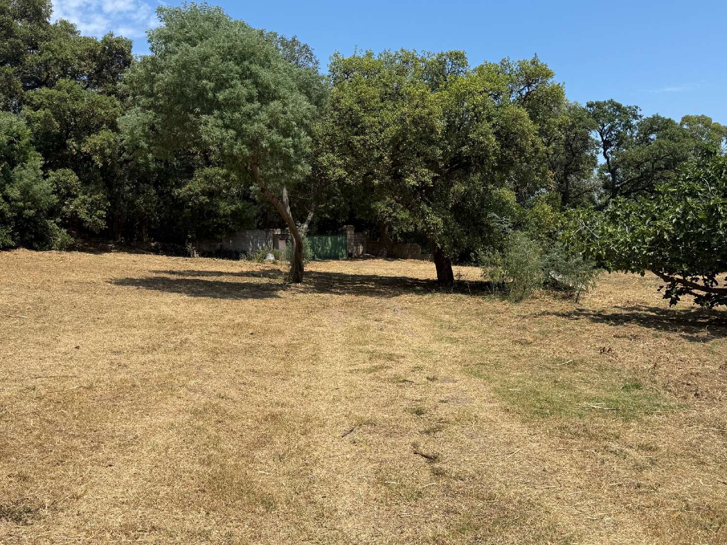  for sale villa Cavalaire-sur-Mer Var 5