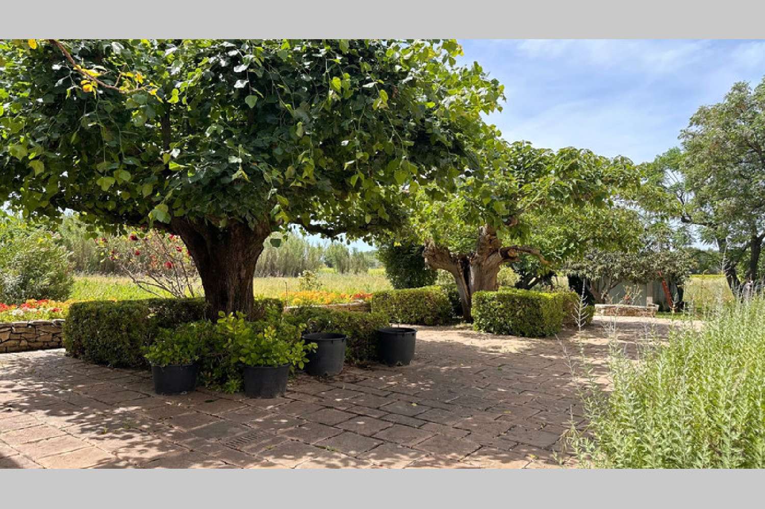à vendre villa Courthézon Vaucluse 4
