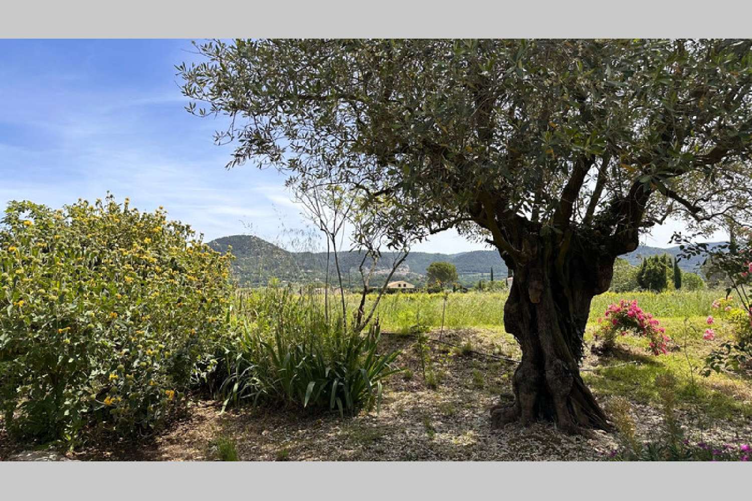 à vendre villa Courthézon Vaucluse 5