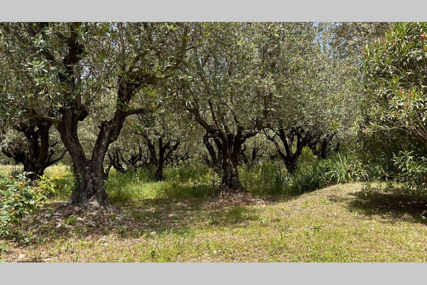 à vendre villa Courthézon Vaucluse 6