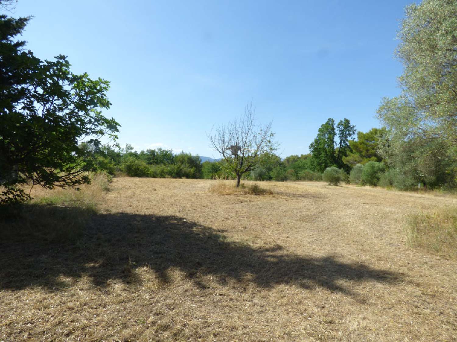 kaufen Villa Fayence Var 2