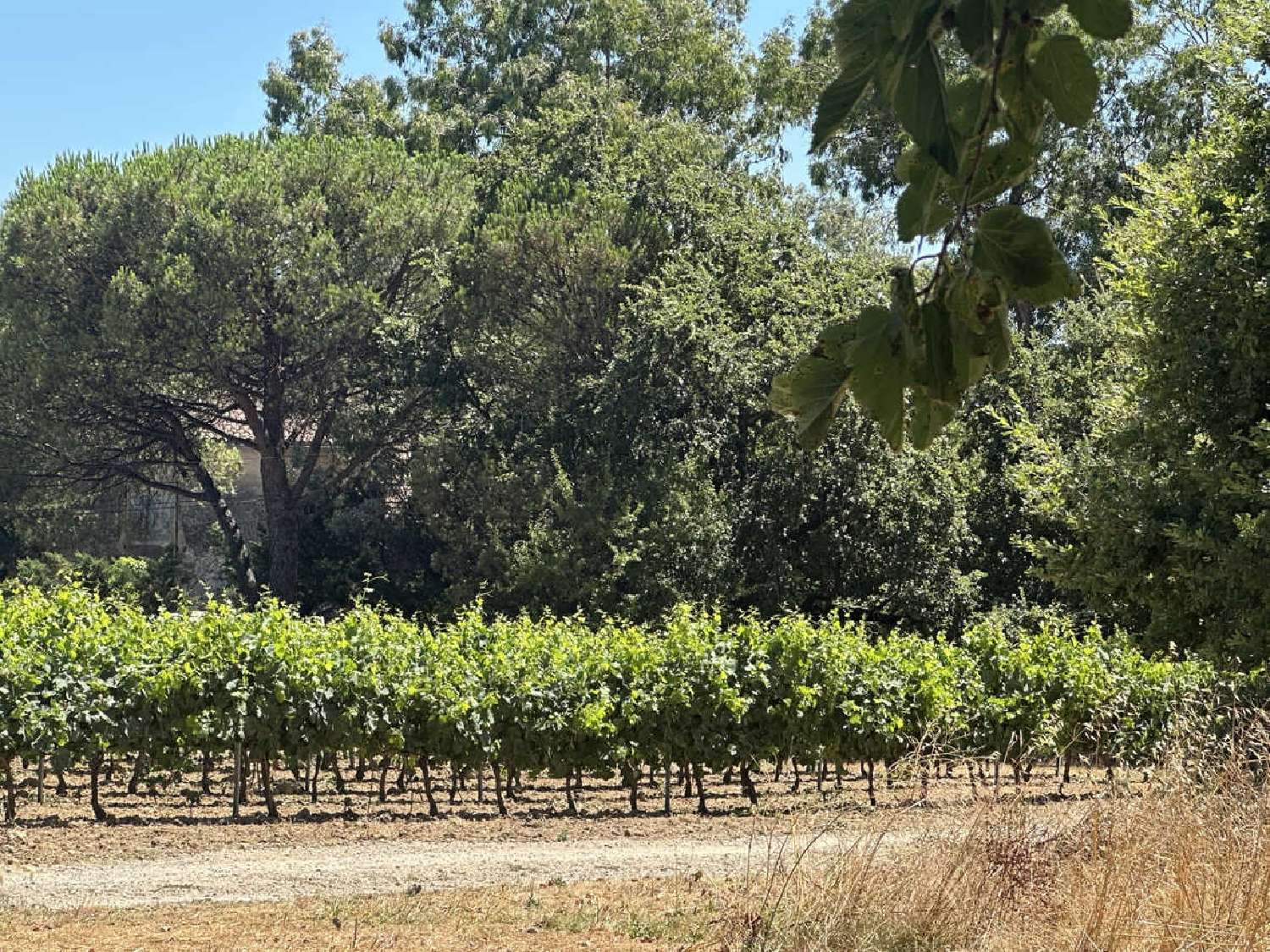  te koop villa Grimaud Var 2