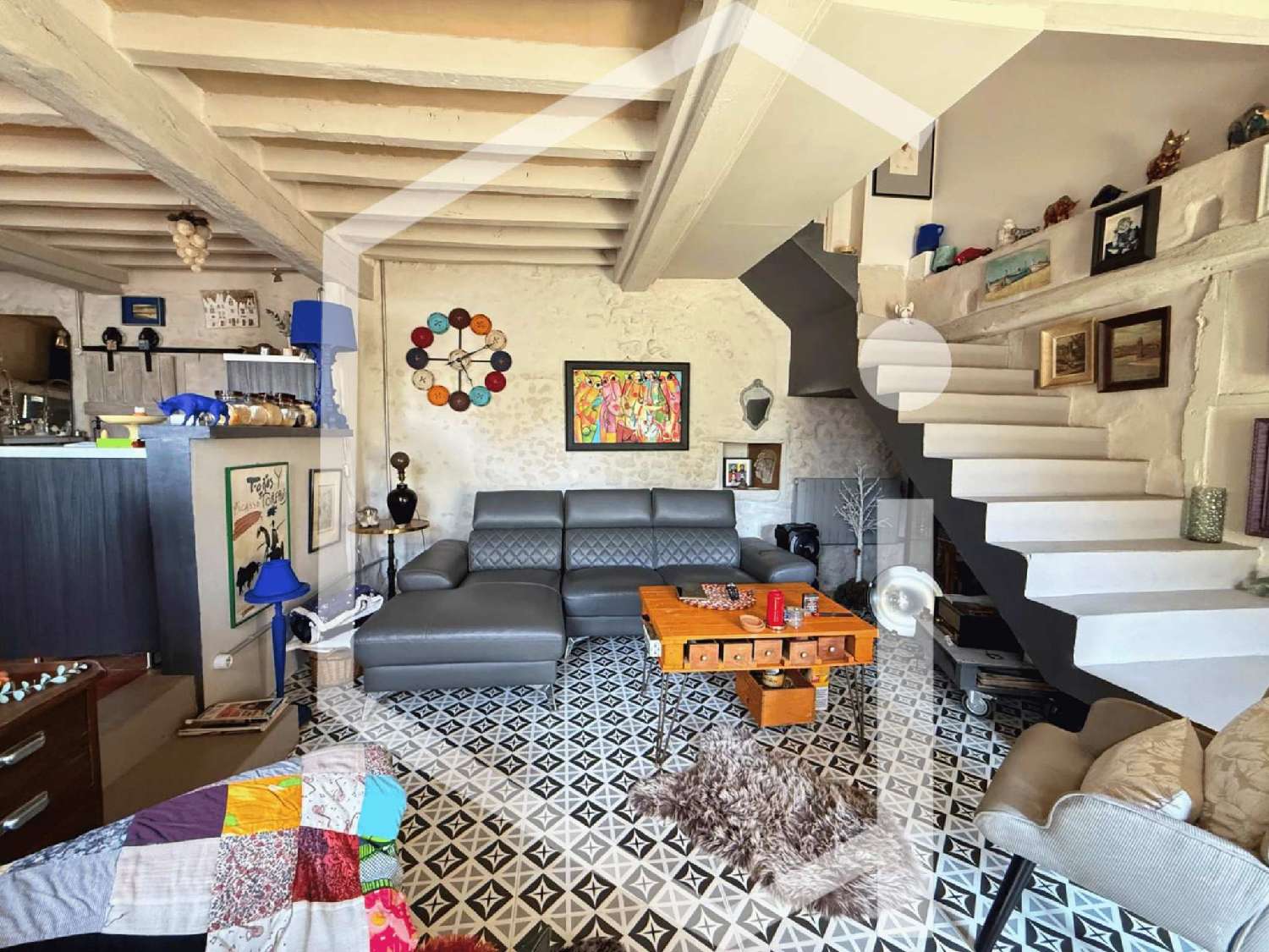 à vendre villa Léré Cher 6