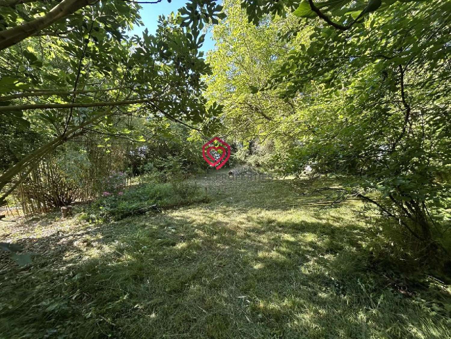  te koop villa Montesquieu-Volvestre Haute-Garonne 4