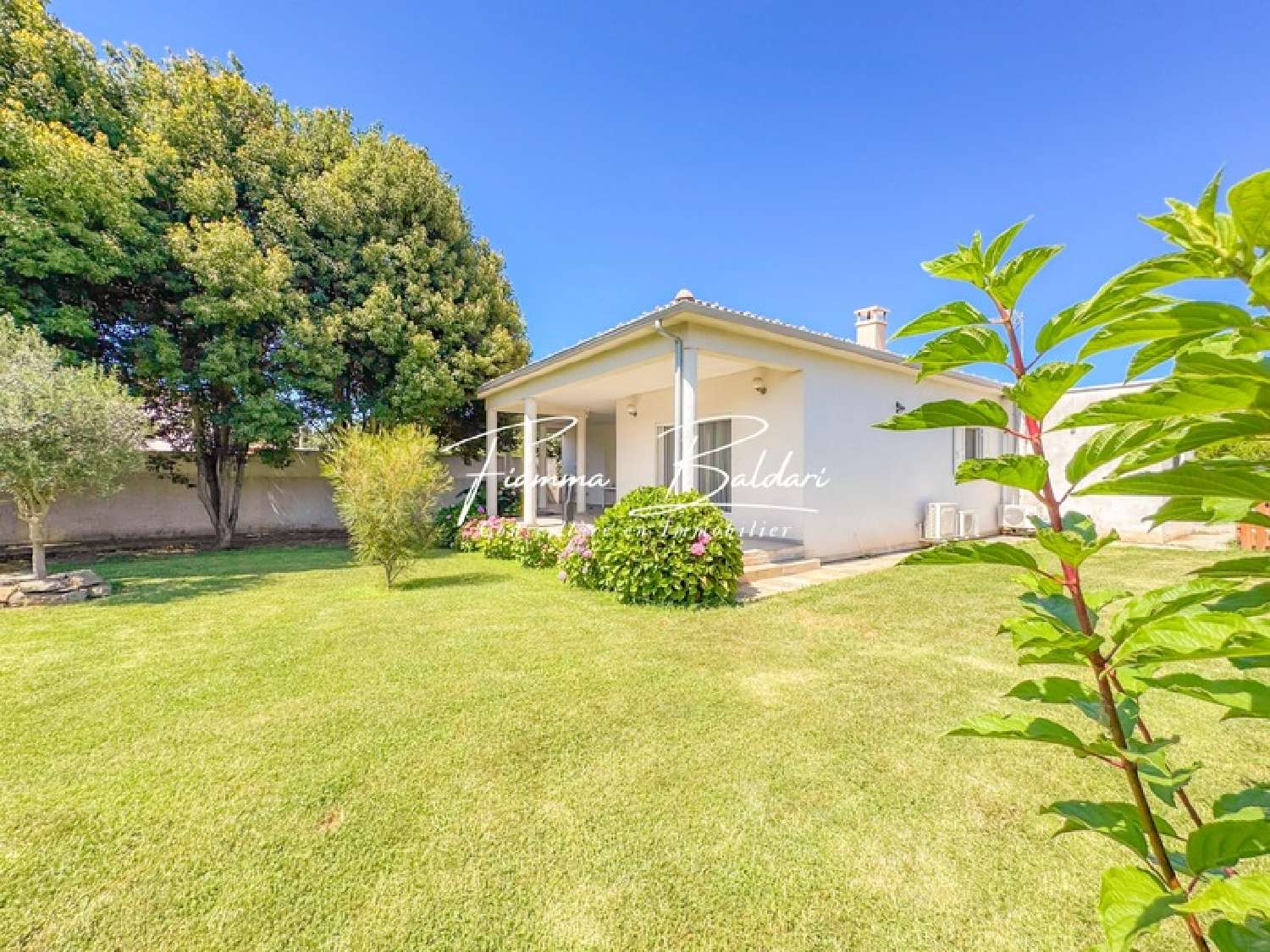kaufen Villa Penta-di-Casinca Haute-Corse 1