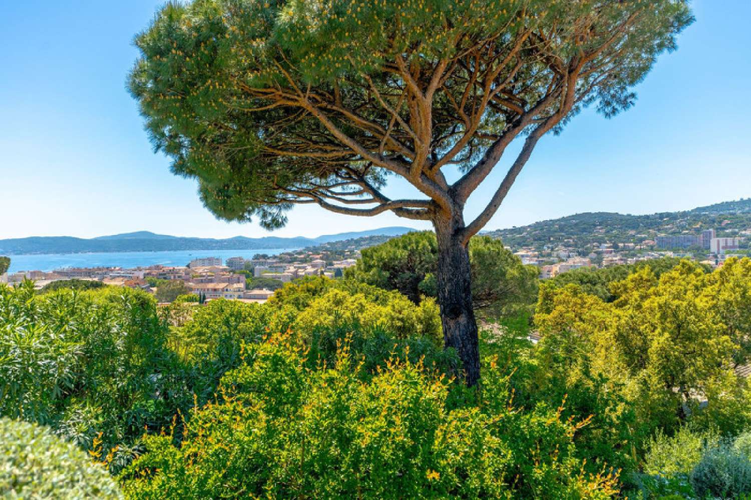 en venta villa Plan-de-la-Tour Var 2