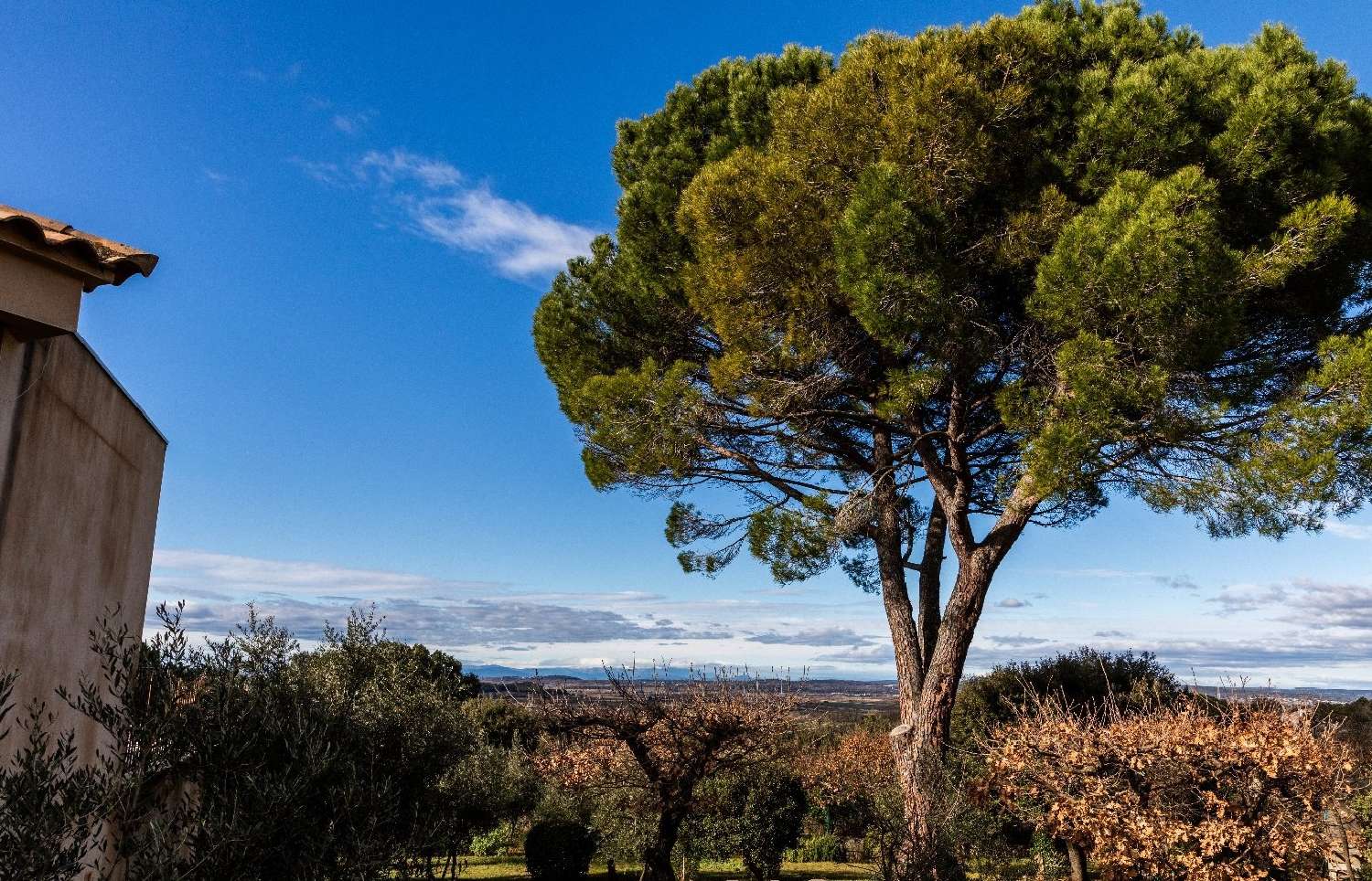 à vendre villa Saint-Géniès-de-Malgoirès Gard 3