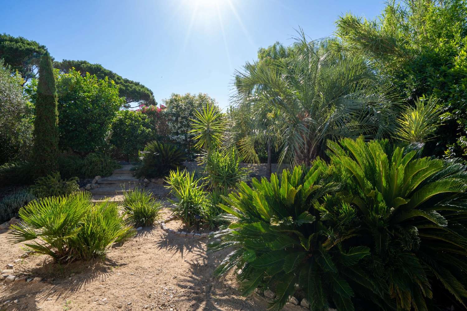 for sale villa Saint-Tropez Var 5