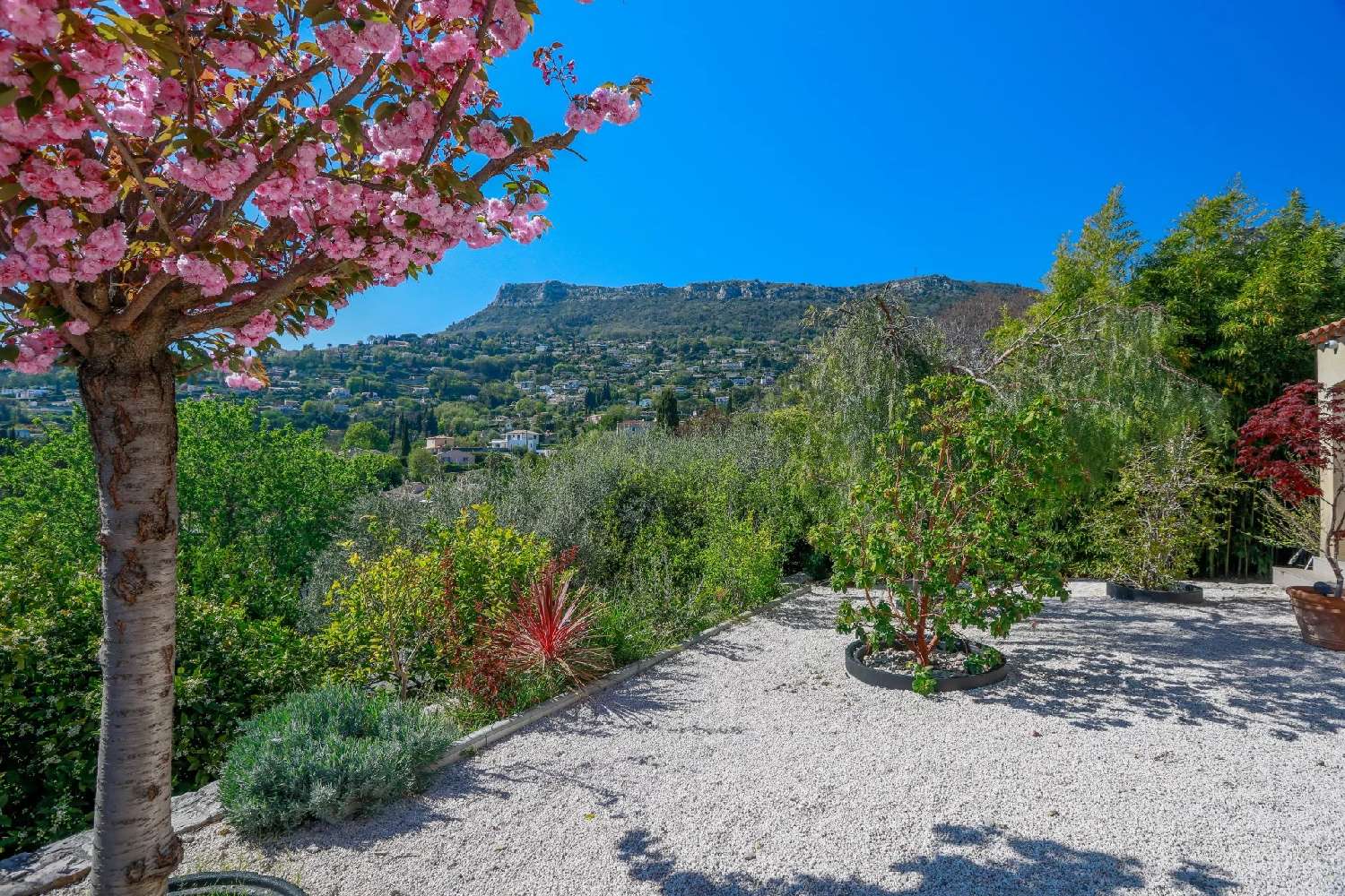 for sale villa Vence Alpes-Maritimes 1