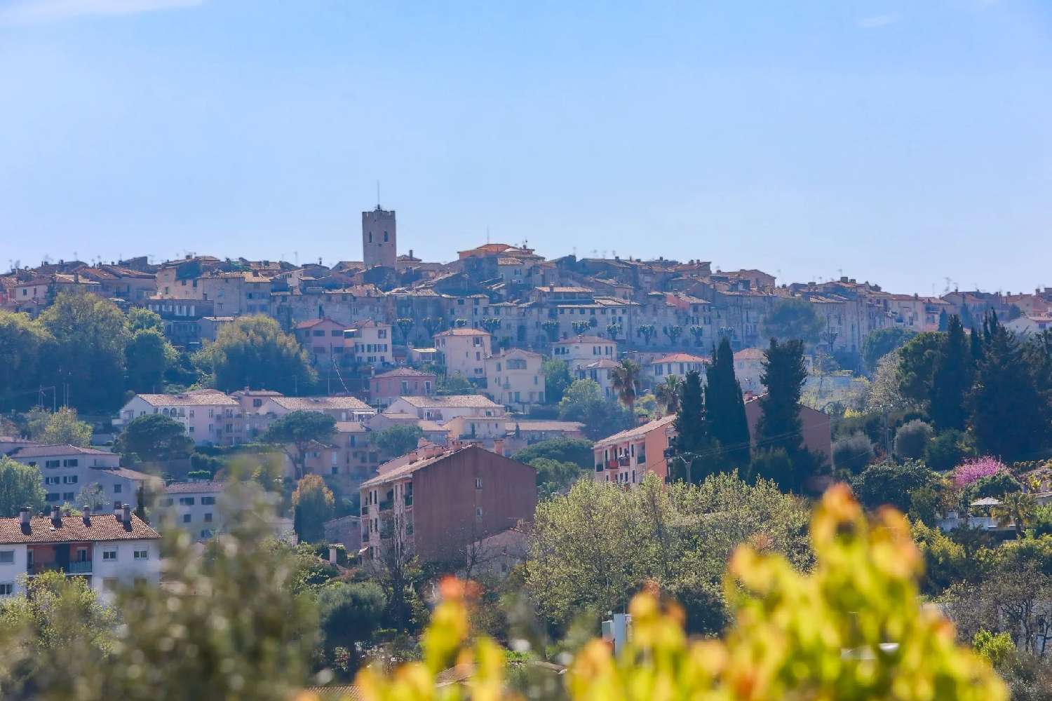 for sale villa Vence Alpes-Maritimes 2