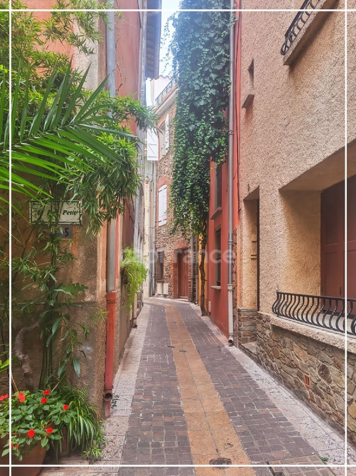kaufen Dorfhaus Collioure Pyrénées-Orientales 1