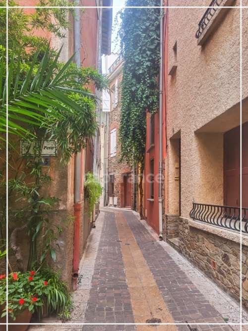 Collioure Pyrénées-Orientales Dorfhaus Bild 7369993