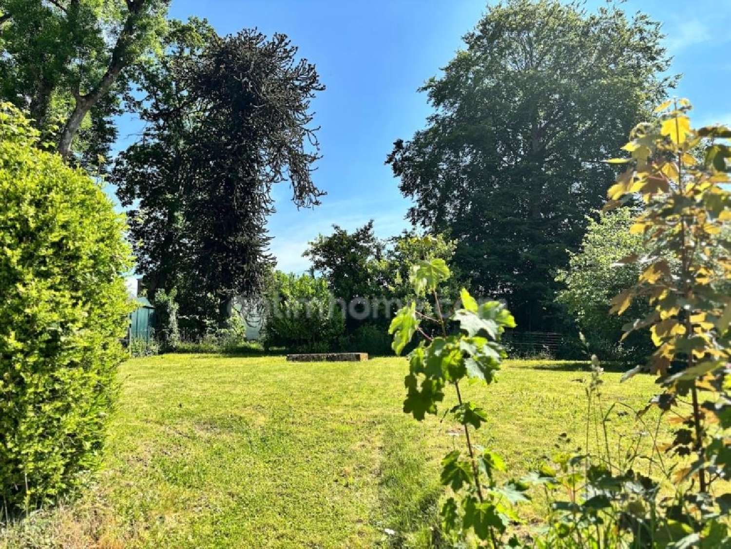 for sale village house Ernée Mayenne 4