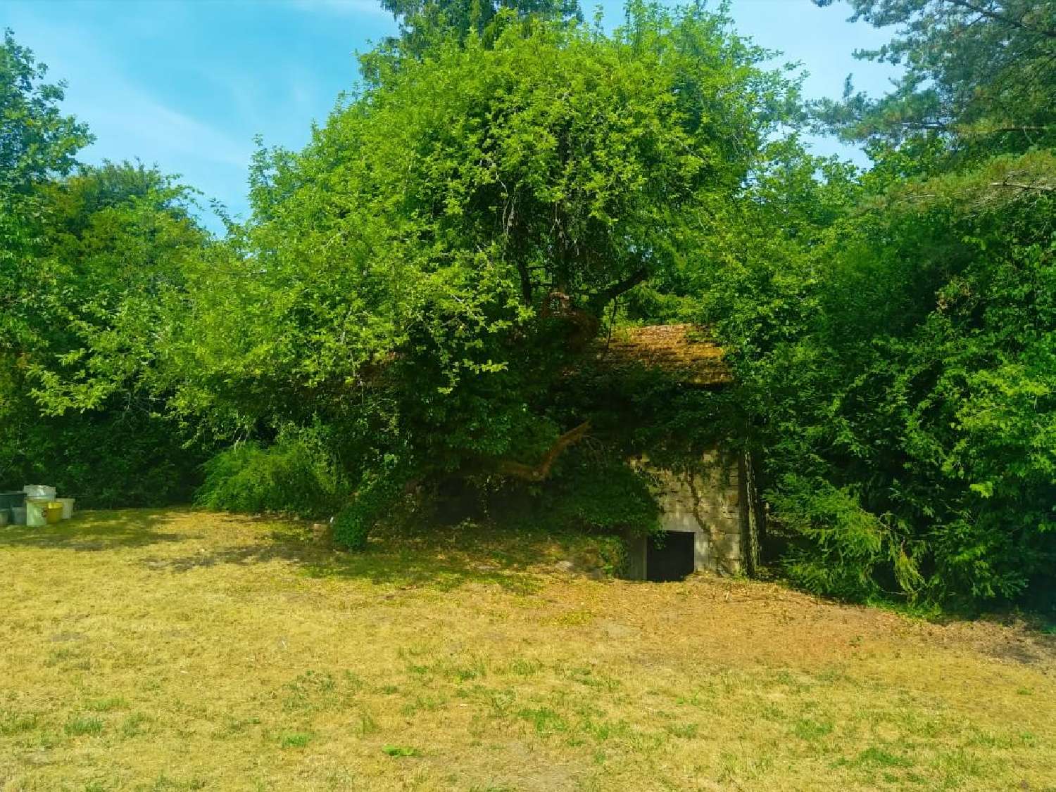 à vendre maison de village Lanques-sur-Rognon Haute-Marne 2