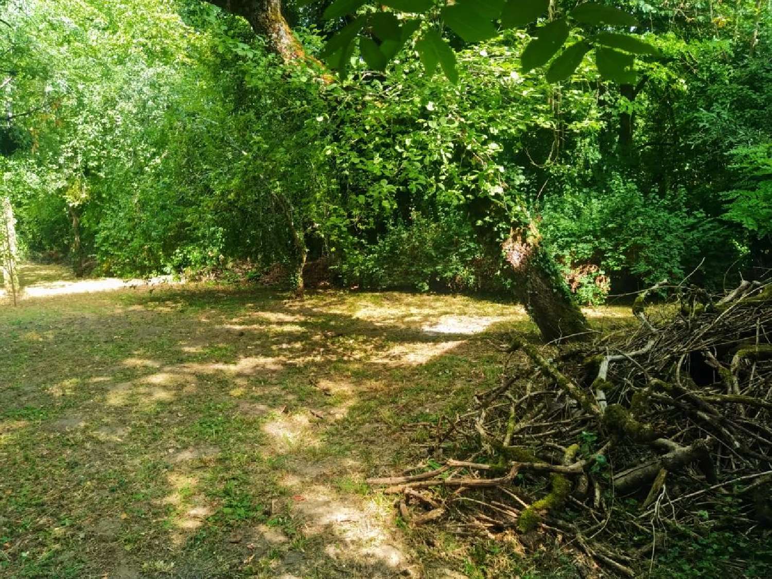 à vendre maison de village Lanques-sur-Rognon Haute-Marne 3