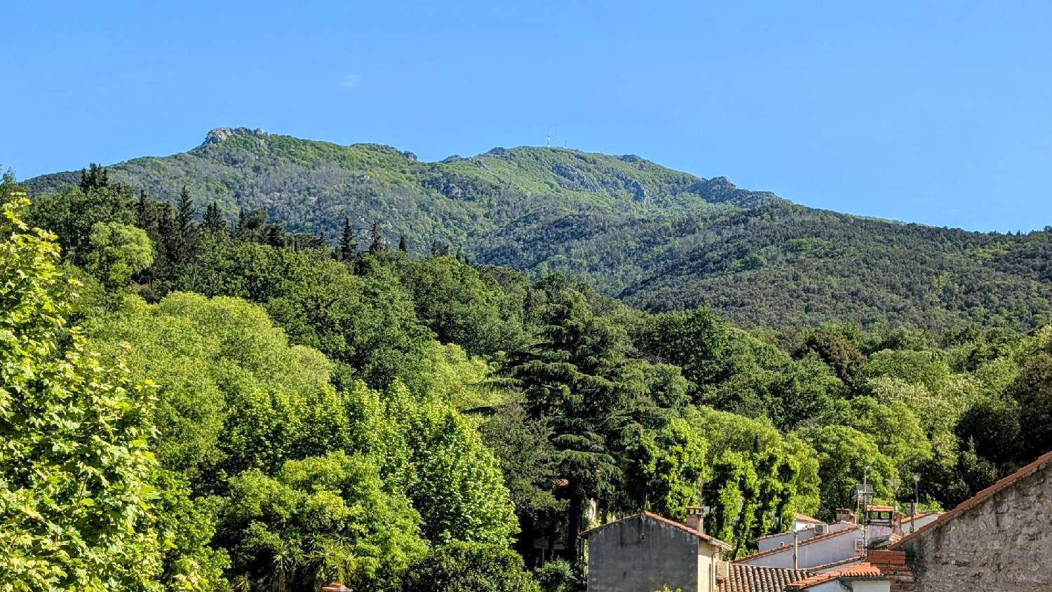 à vendre maison de village Laroque-des-Albères Pyrénées-Orientales 2