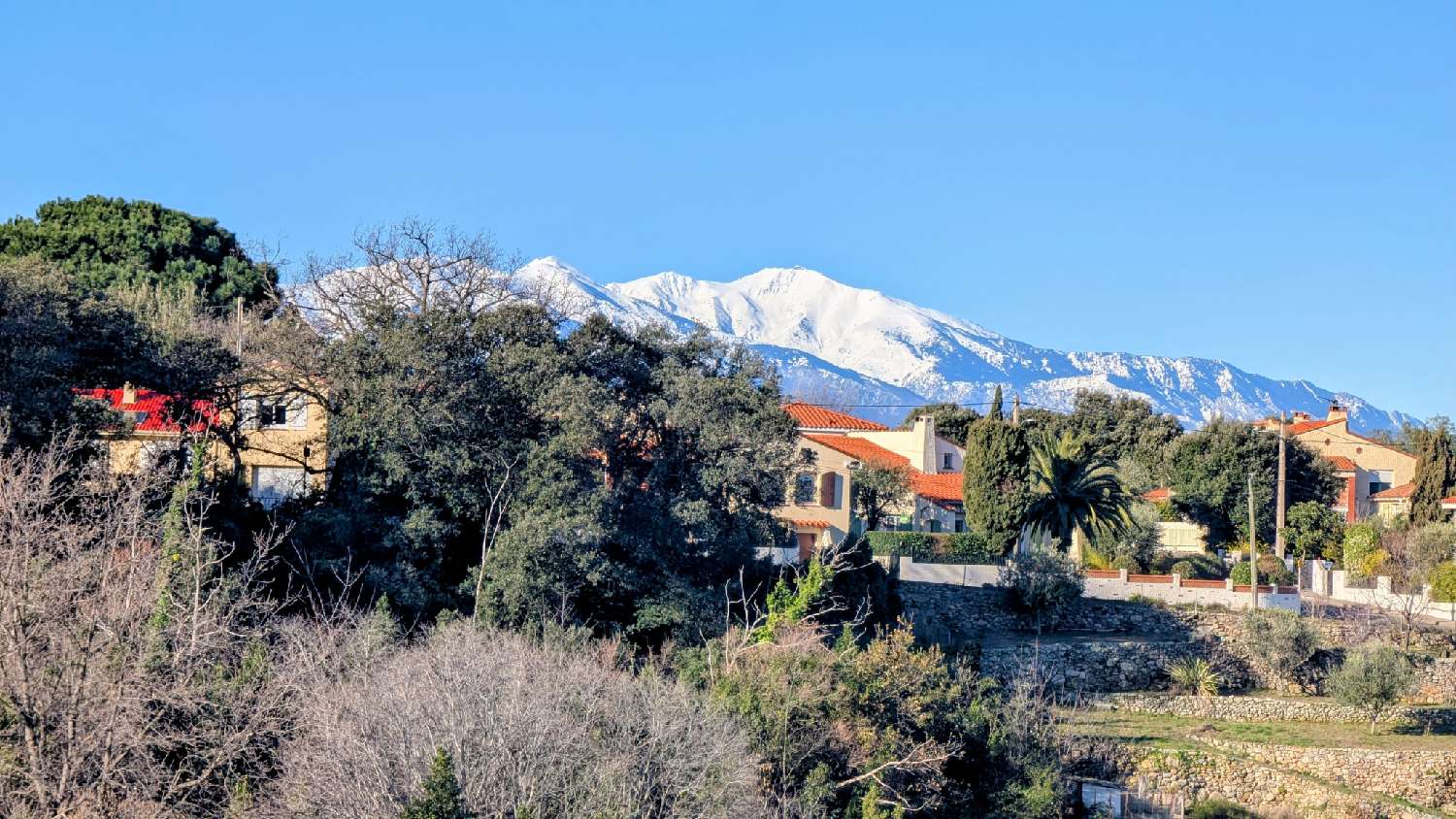 à vendre maison de village Laroque-des-Albères Pyrénées-Orientales 4