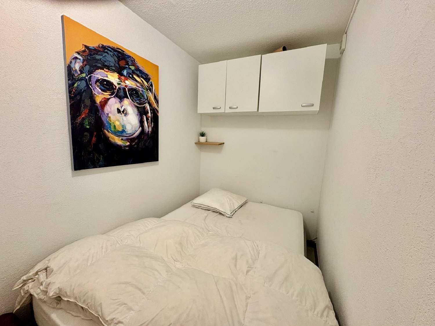 à vendre appartement Agde Hérault 5