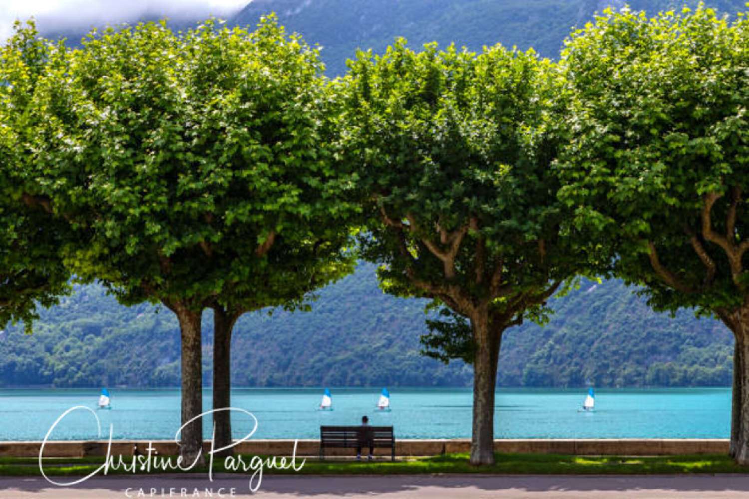  te koop appartement Aix-les-Bains Savoie 8