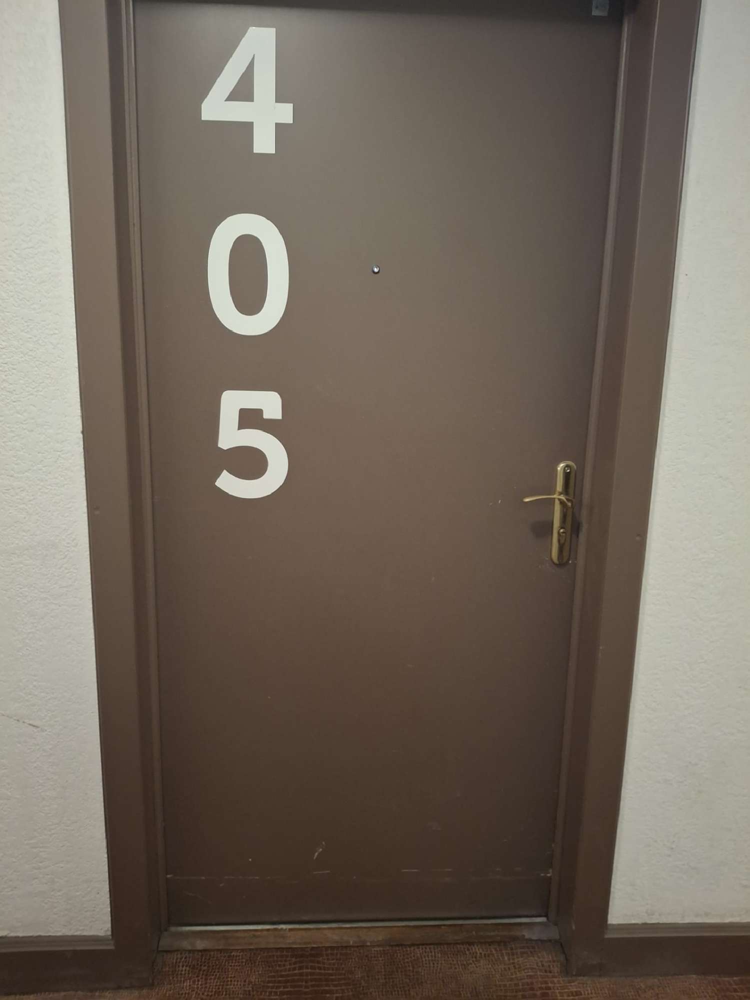 kaufen Wohnung/ Apartment Annemasse Haute-Savoie 2