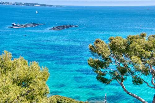 Cannes Alpes-Maritimes apartamento foto 7388731