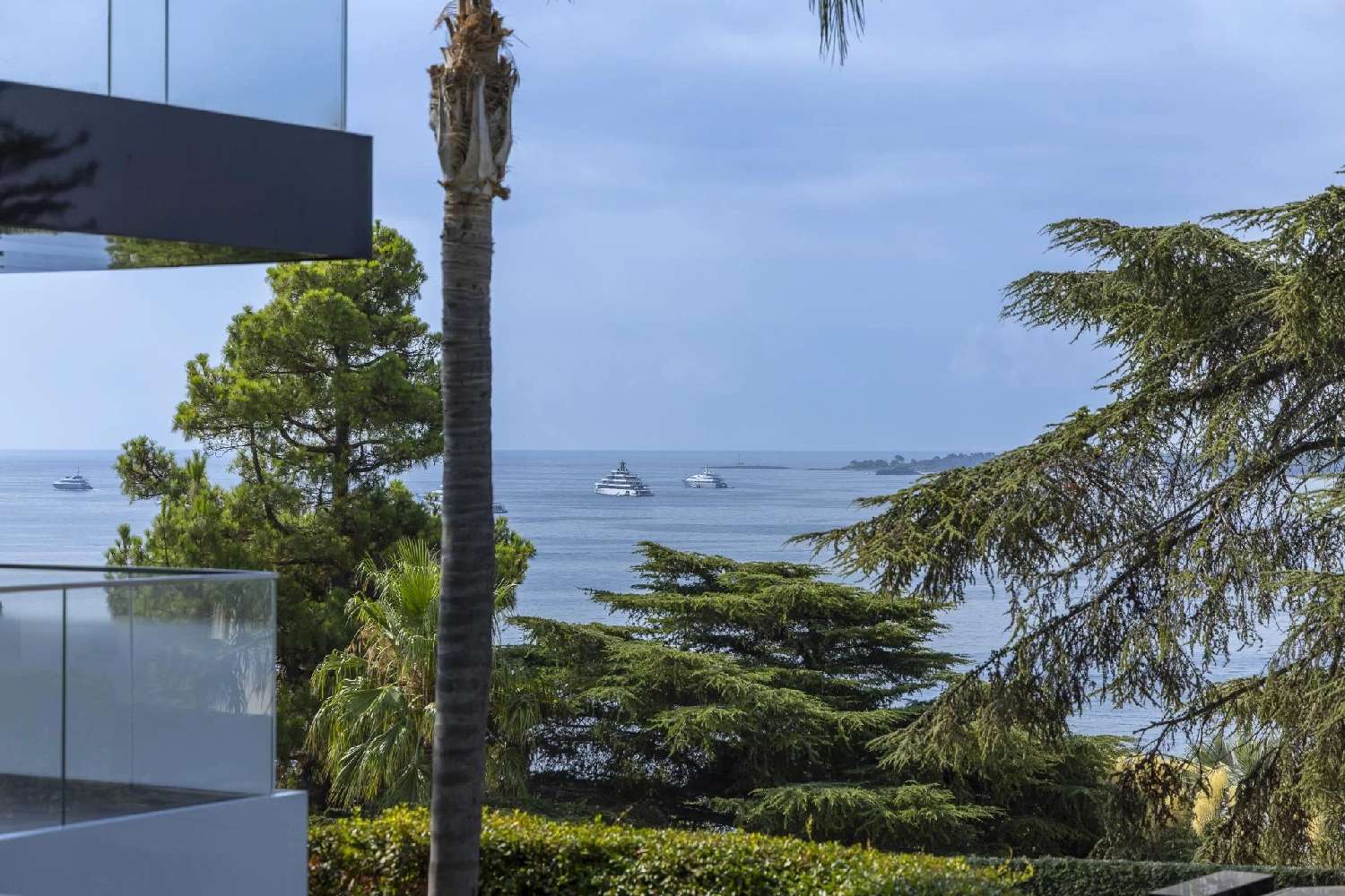for sale apartment Cannes Alpes-Maritimes 2