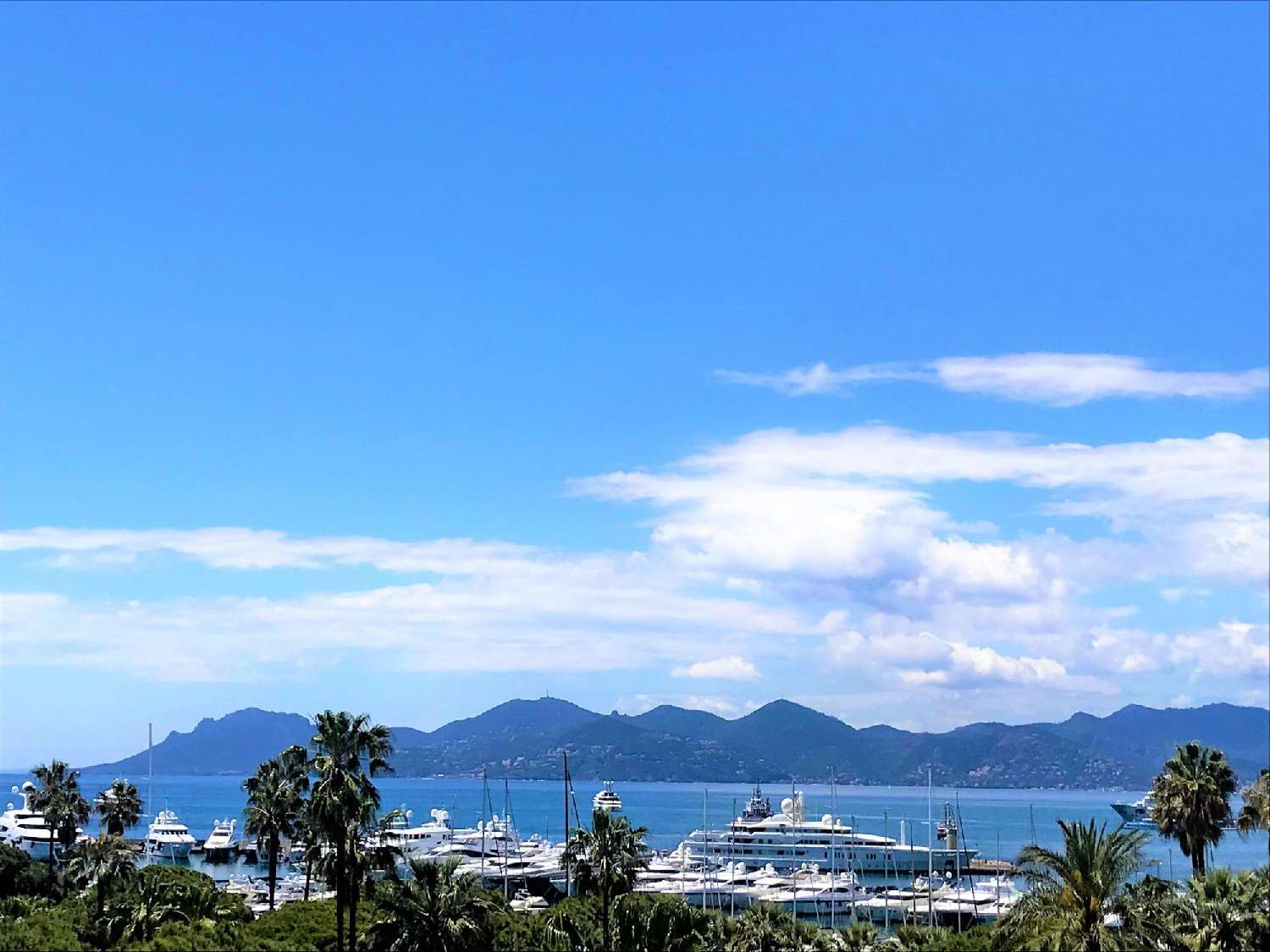 kaufen Wohnung/ Apartment Cannes Alpes-Maritimes 1
